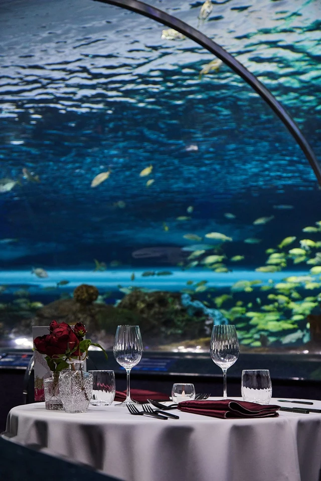 Special Event Venues: Ripley's Aquarium of Canada 18