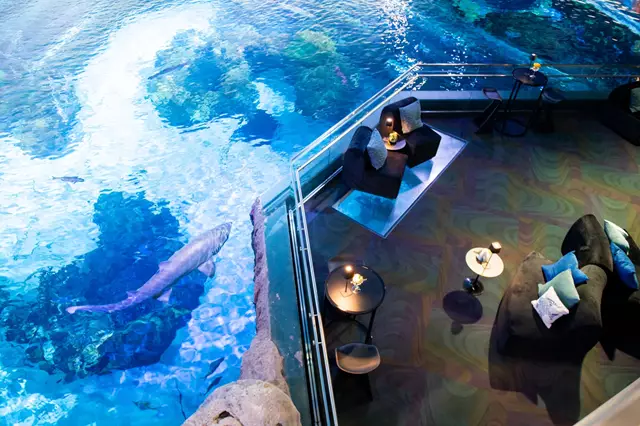 Special Event Venues: Ripley's Aquarium of Canada 10