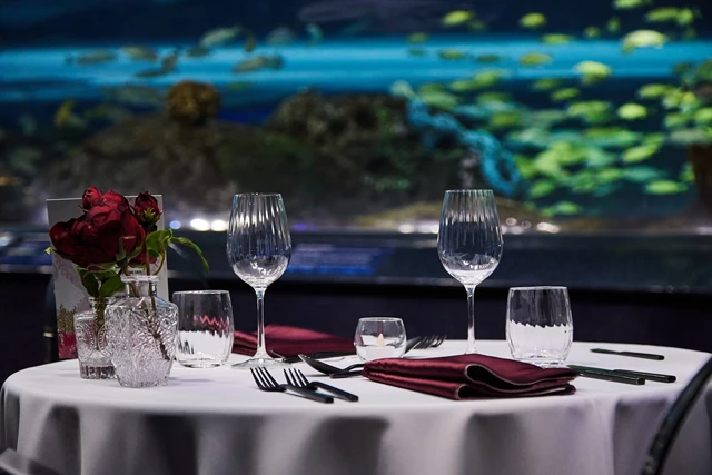Special Event Venues: Ripley's Aquarium of Canada 17