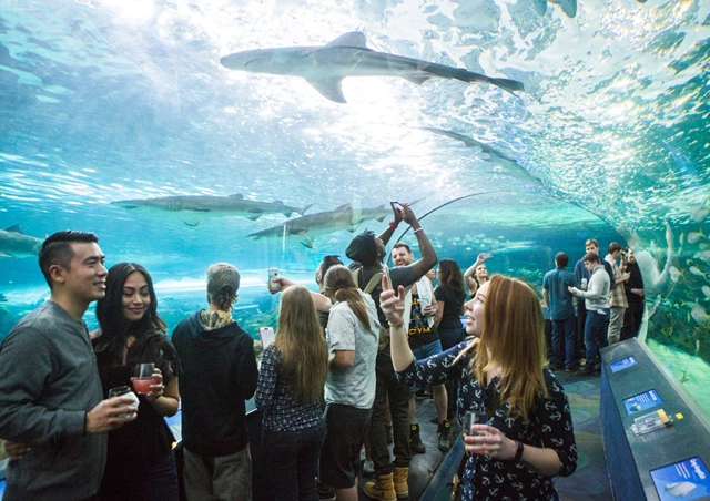 Special Event Venues: Ripley's Aquarium of Canada 5