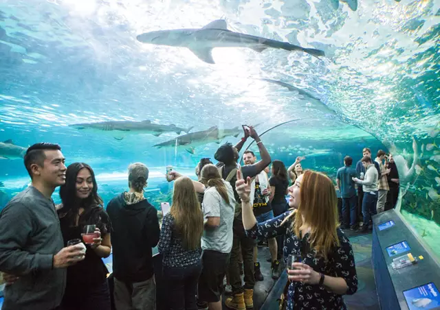 Special Event Venues: Ripley's Aquarium of Canada 5