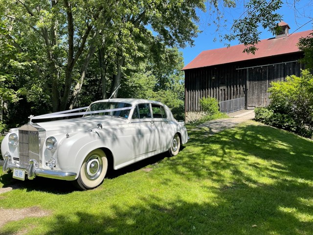 Limousines: Rolls Royce Classic Limos 7