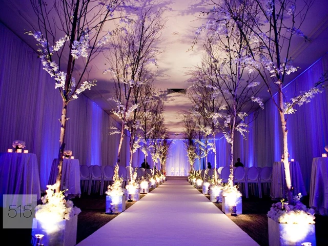 Special Event Venues: The Carlu 3