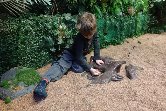 Entertainment Venues: The JunXion 5