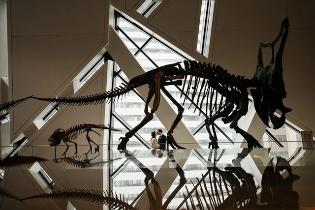 Galleries/Museums: The Royal Ontario Museum 4