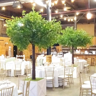 Event Rentals: The Ultimate Wedding Project 9