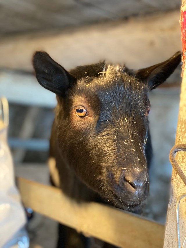 Barn Venues: Thunderbird Farm 14