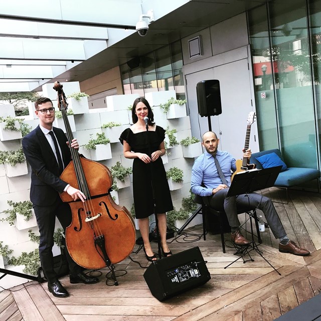 Live Music & Bands: Tiffany Jazz Trio 10