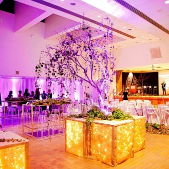 Special Event Venues: Toronto Botanical Garden 5