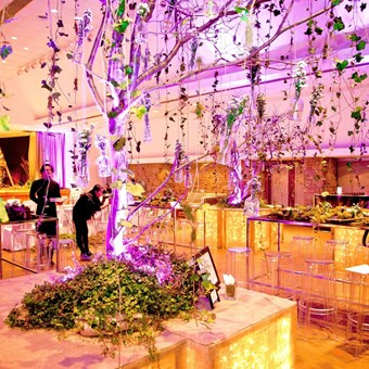 Special Event Venues: Toronto Botanical Garden 4