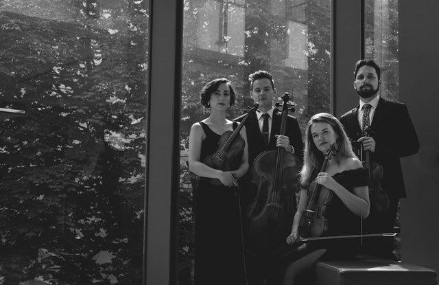 Live Music & Bands: Toronto String Quartet 25