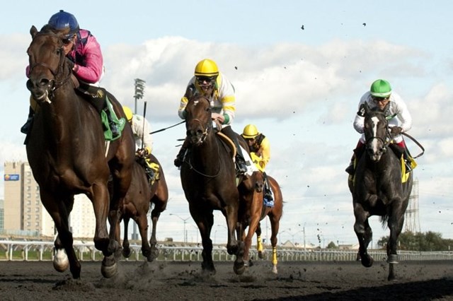 Entertainment Venues: Woodbine Racetrack 2